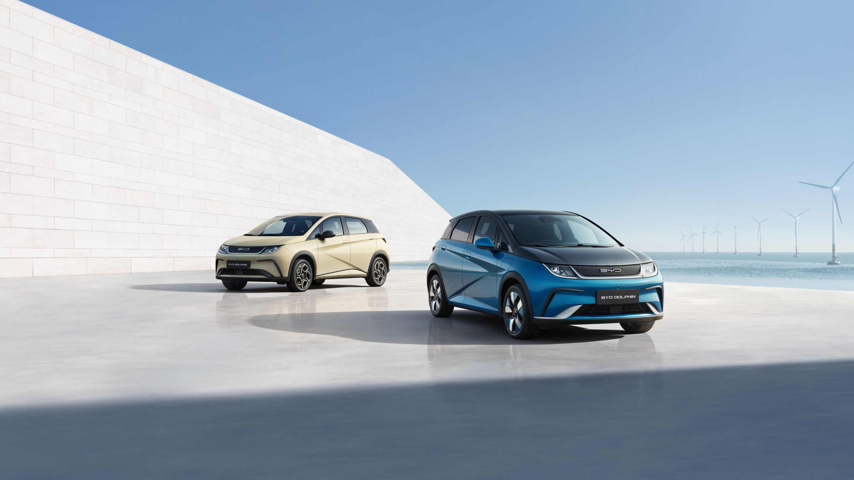 ag亚洲集团 DOLPHIN